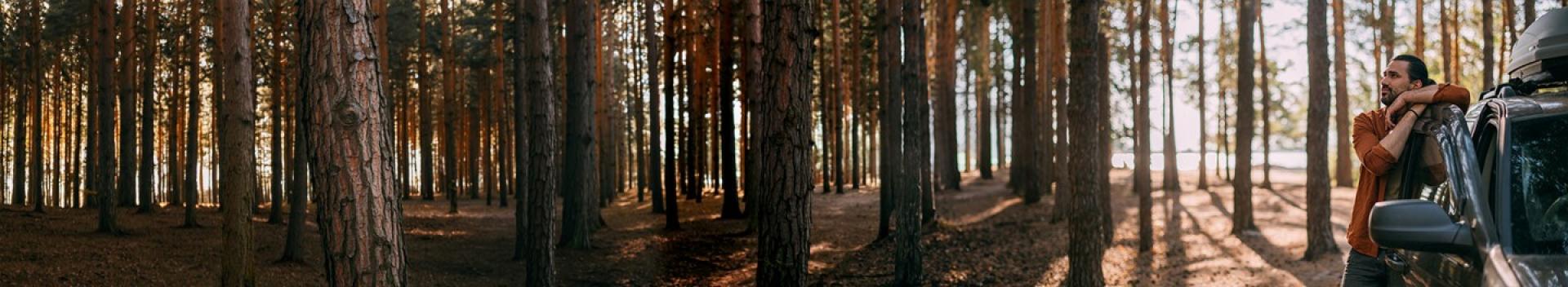Man standing next to a car in a forest
