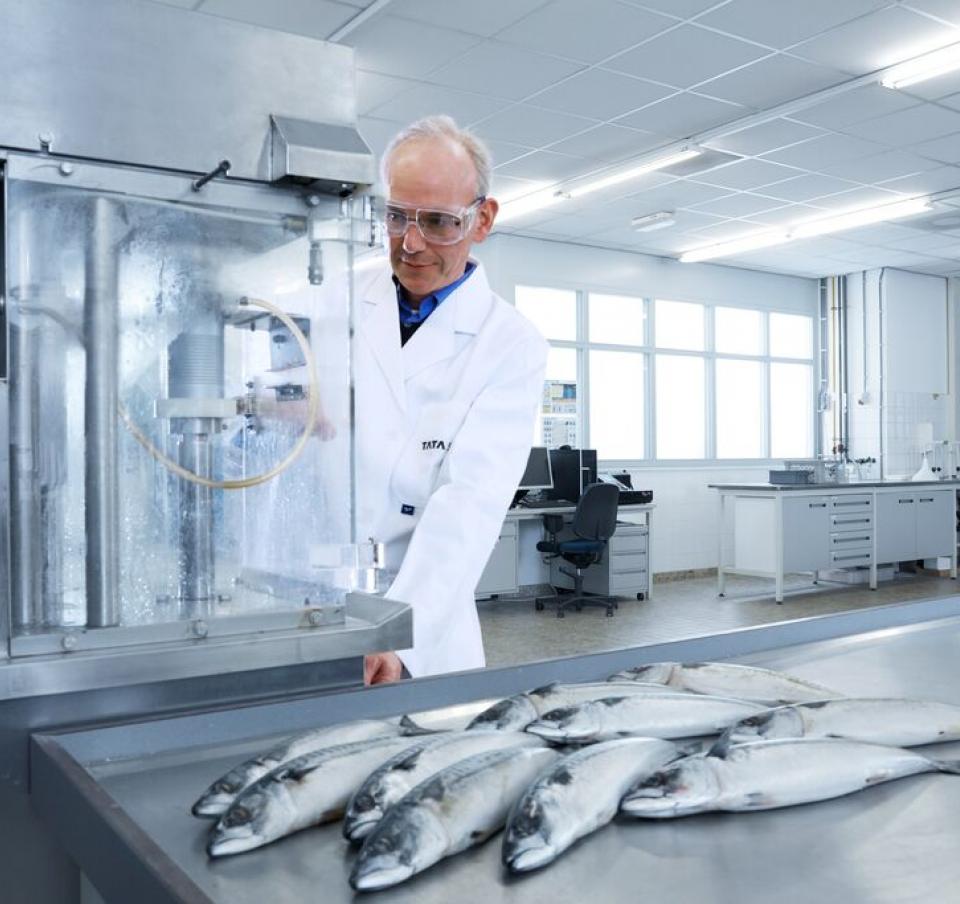 We have the facilities to fill, seam, process and store cans