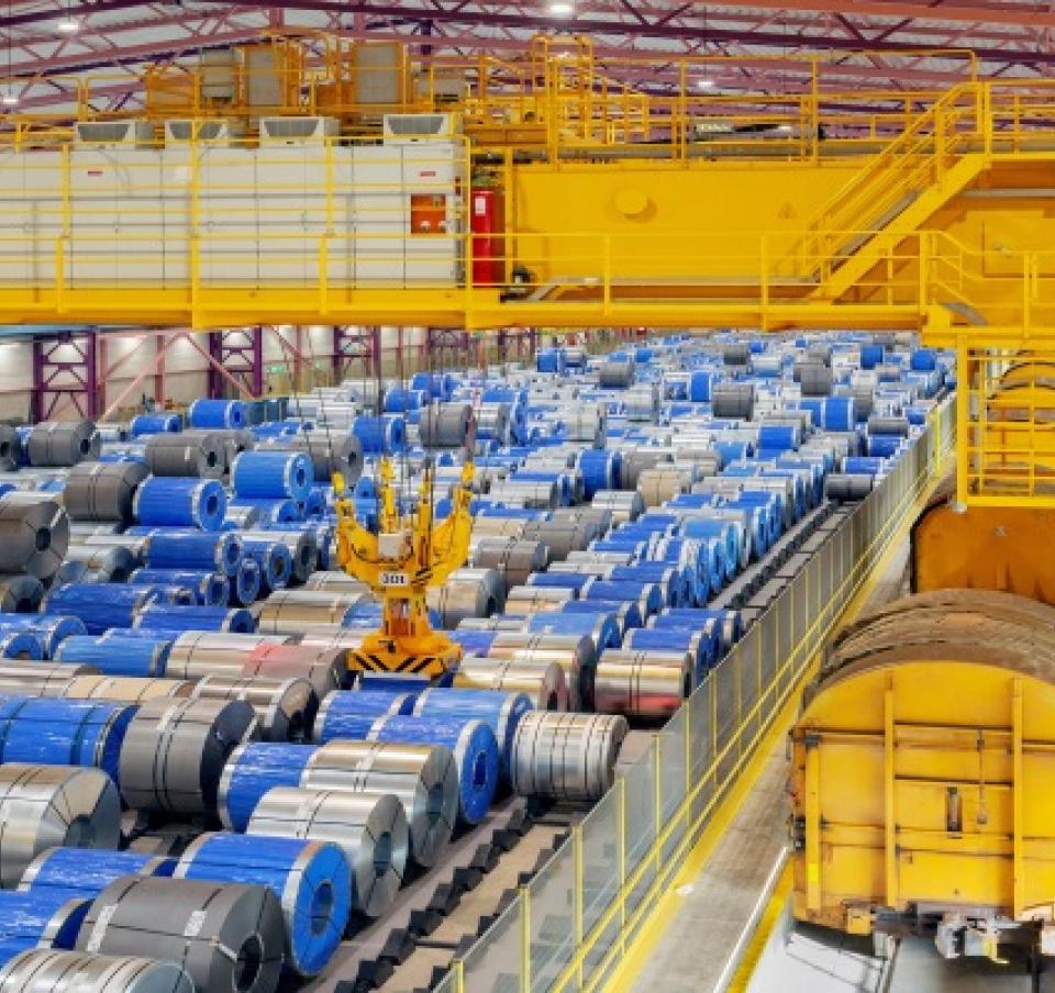 LA Hal_0070 (resized)