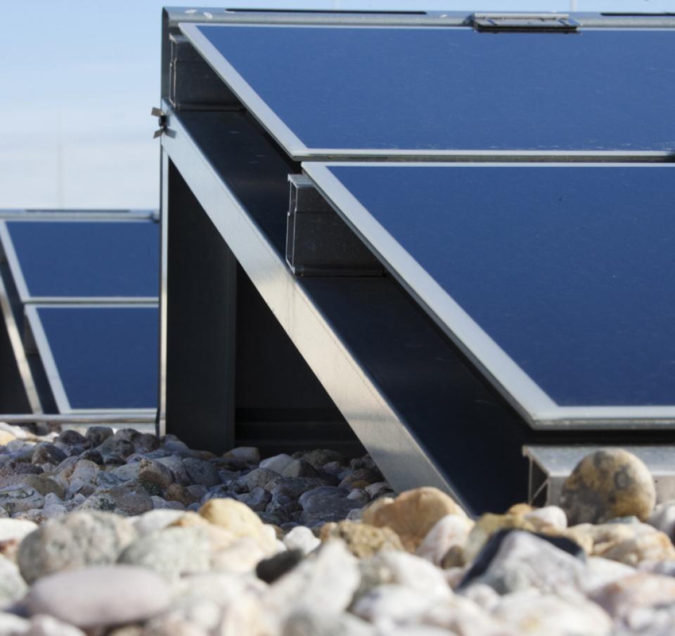 Outdoor application of MagiZinc