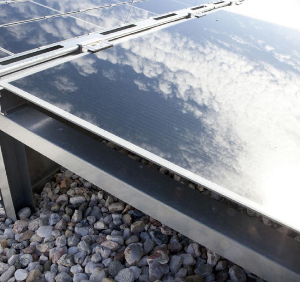 Outdoor application of MagiZinc