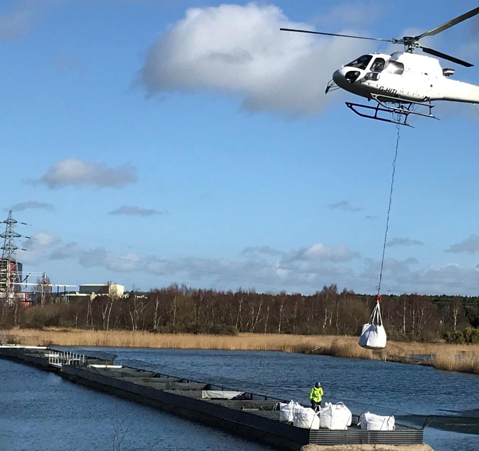 Seabird nesting site Tata Steel Wales