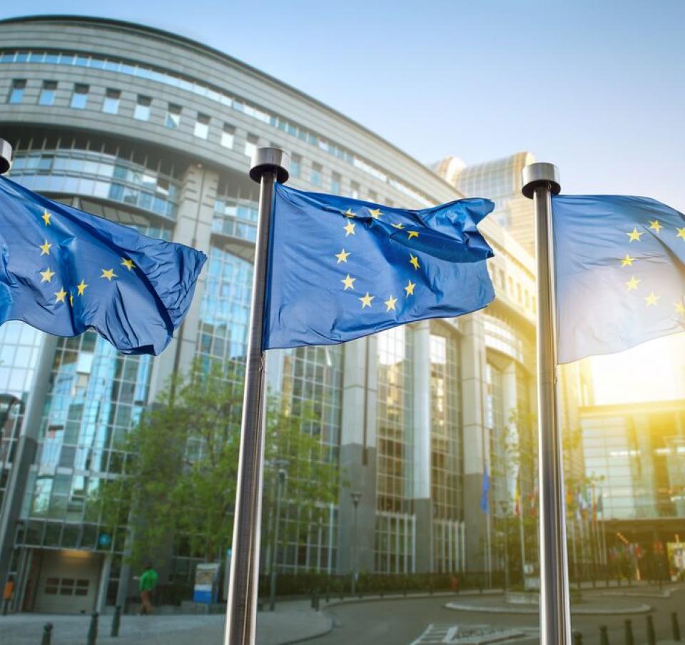 EU fit for 55 EU fit for 55