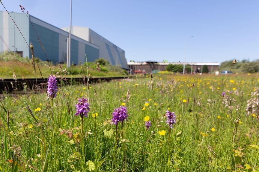 Tata Steel Tata Steel