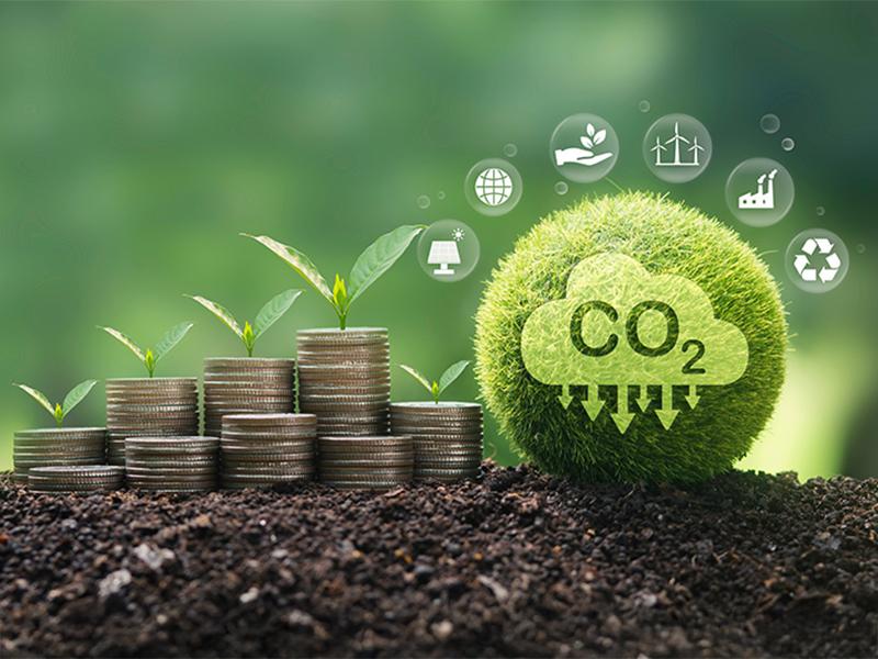 Carbon Bank Credibility