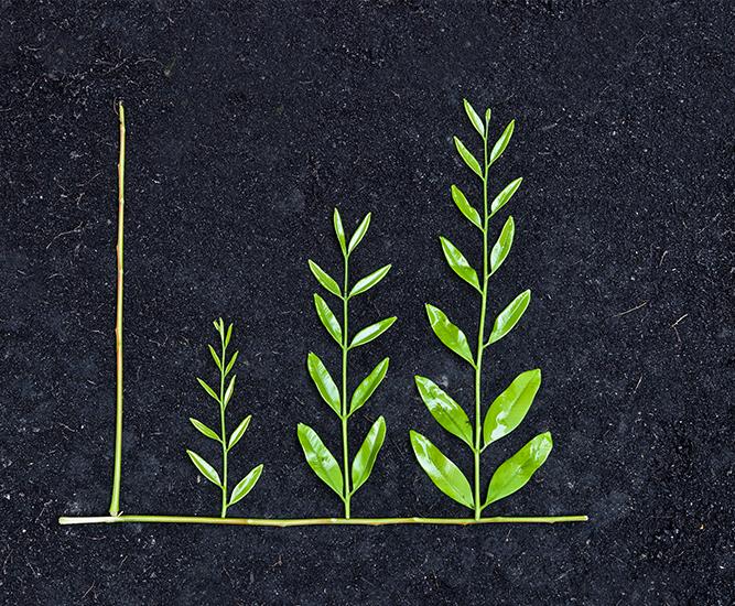 achieving sustainability goals