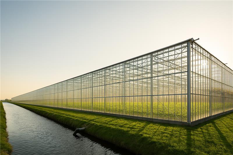 Greenhouse outside Greenhouse outside