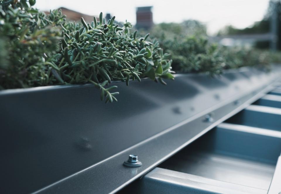 Newly produced steel profile covered by plants