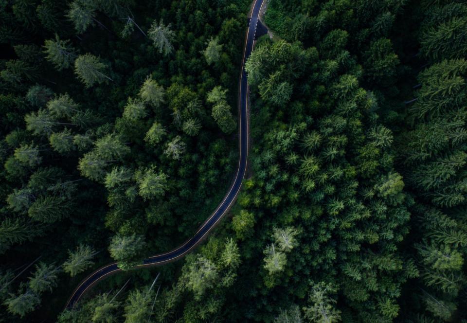 Aerial shot of a road in a forest