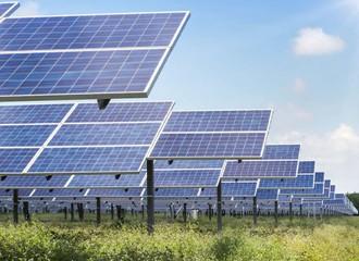 Solar panels in a grass field